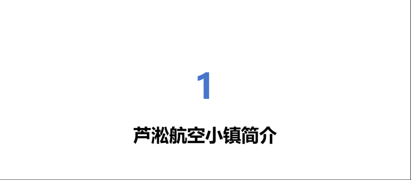株洲芦淞航空小镇简介(图2)
