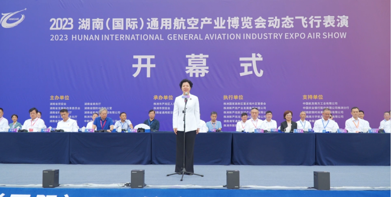 株洲芦淞航空小镇简介(图50)